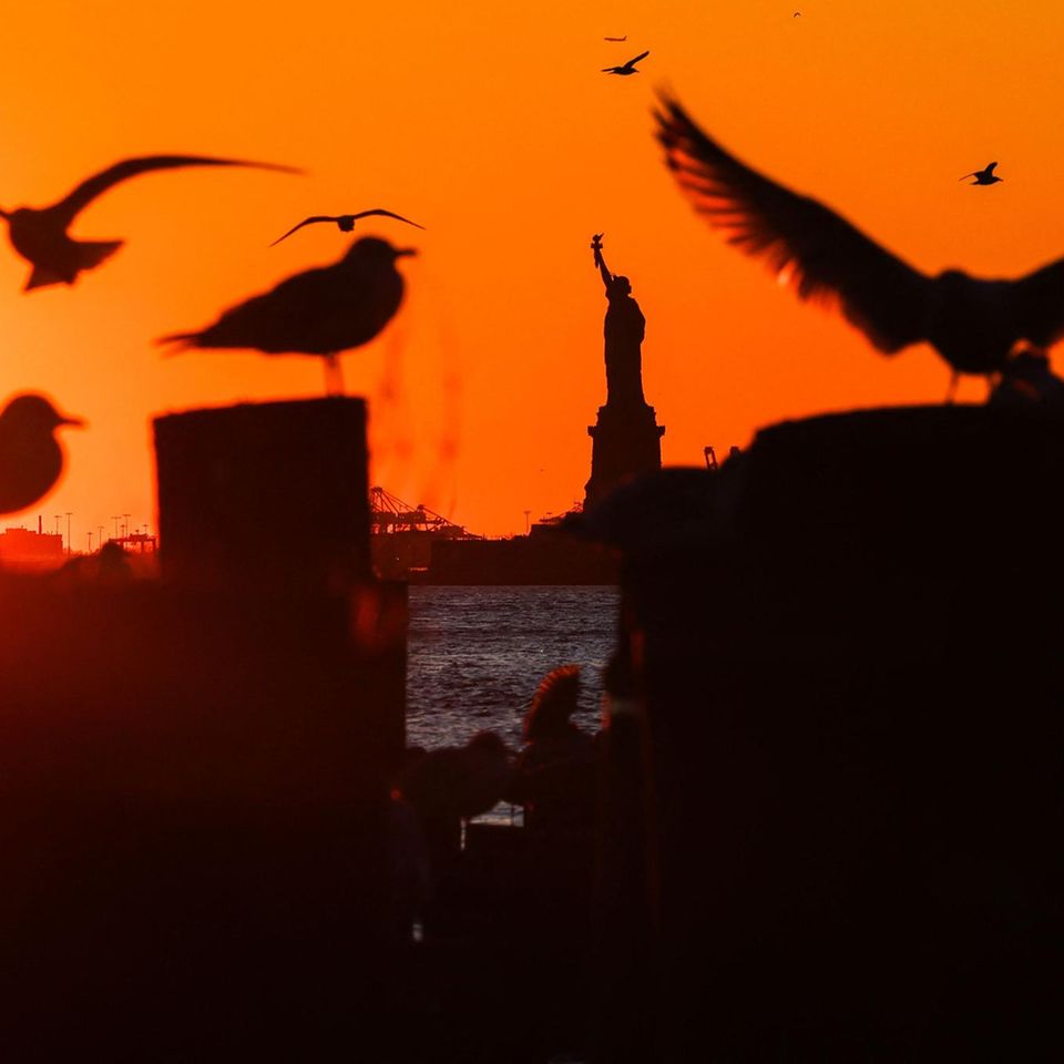 New York, USA. Verschieden große Vögel tummeln sich im Licht der letzten Sonnenstrahlen vor der Freiheitsstatue vom New Yorker Stadtteil Brooklyn aus gesehen.